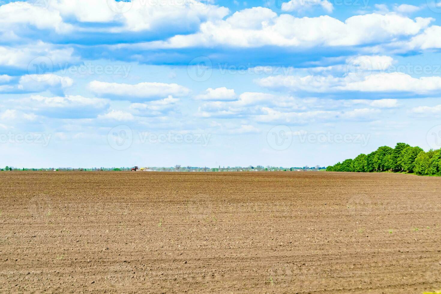 fotografie zum thema großes leeres bauernhoffeld für die organische ernte foto