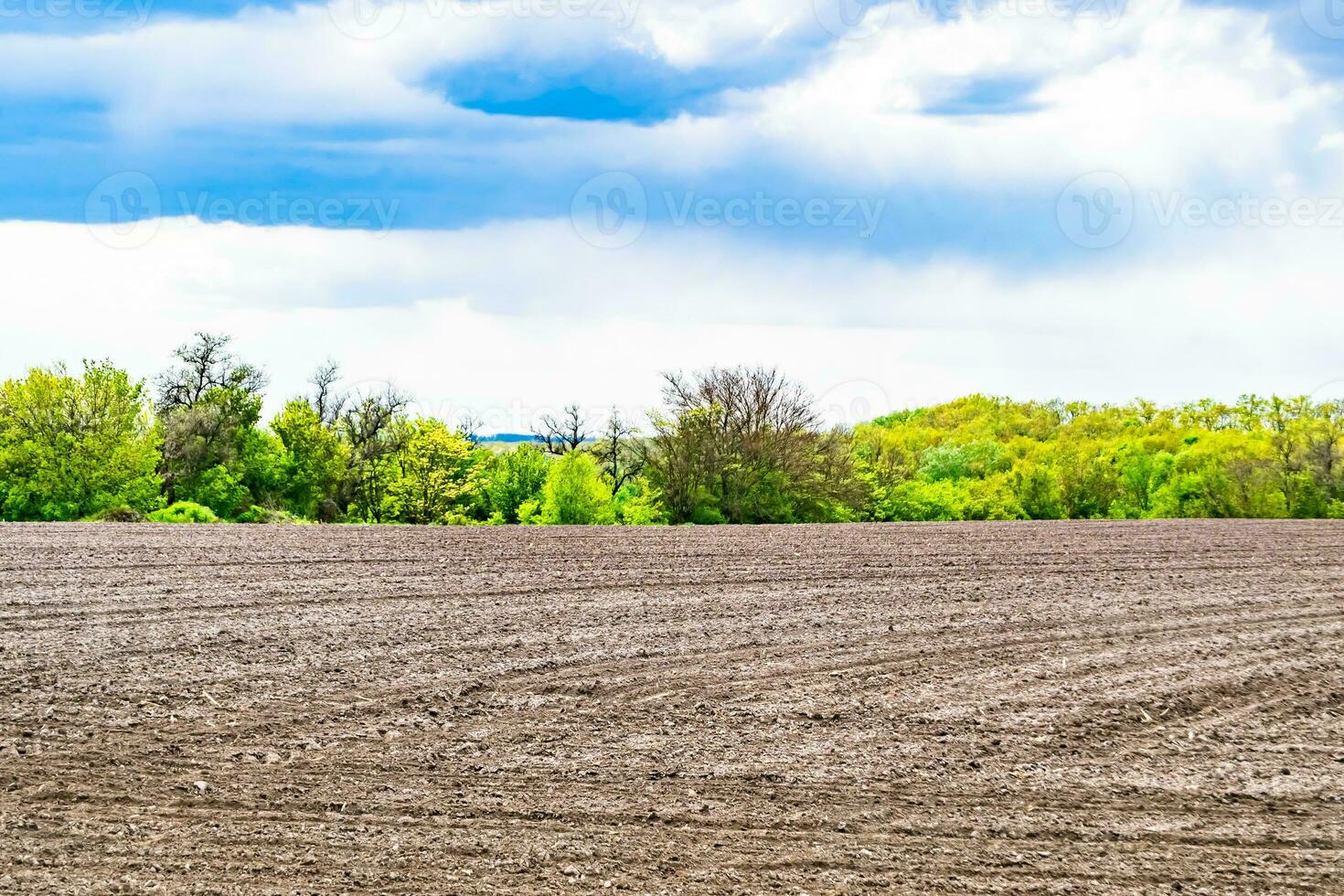 fotografie zum thema großes leeres bauernhoffeld für die organische ernte foto