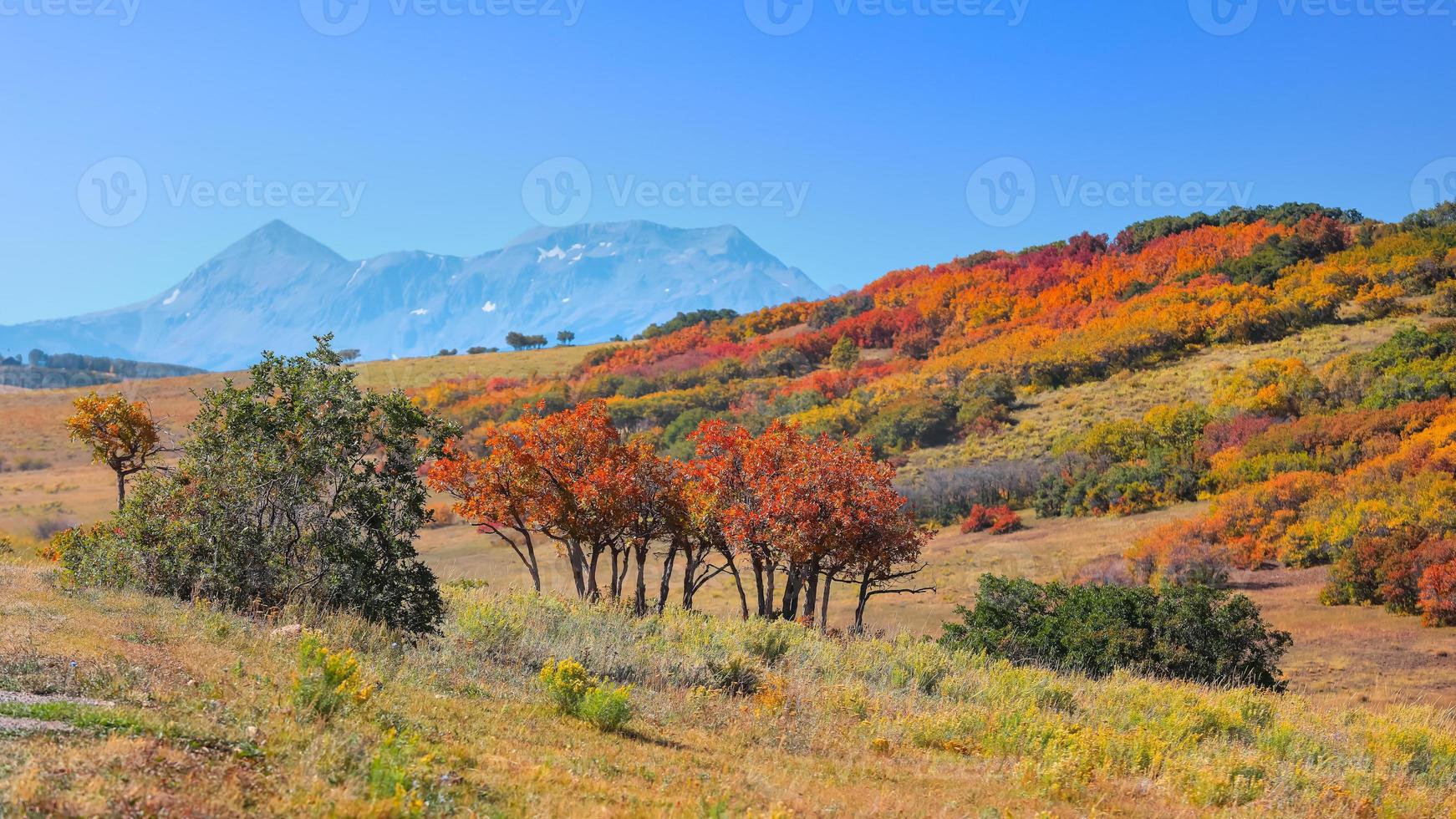 bunte Herbstbäume in San Juan Mountains, Colorado foto