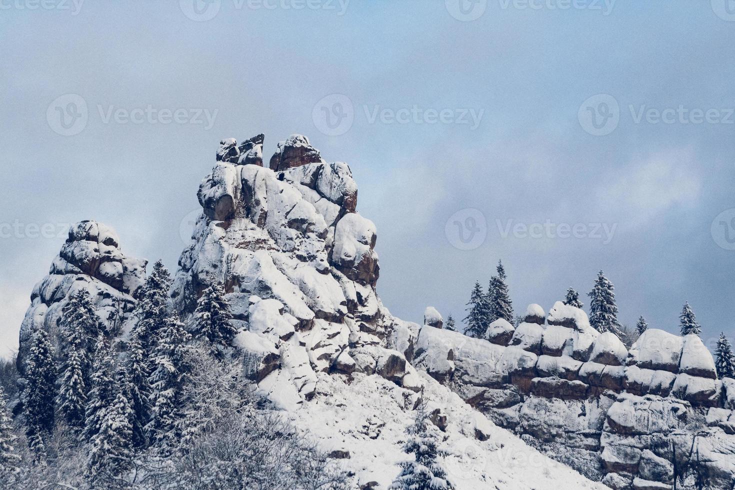 Berge Bäume mit Schnee bedeckt. die Bäume sind gefroren foto