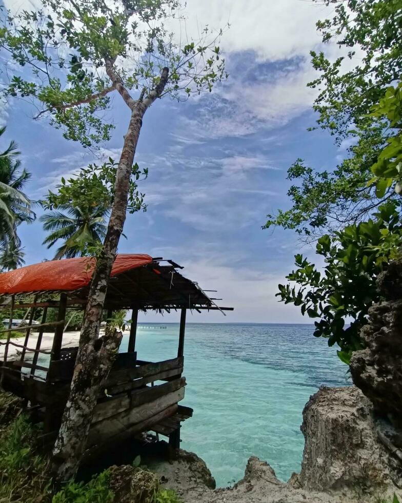 still Szene durch das Meer heiter Strand, üppig Wald, still Ozean Inbegriff von natürlich Schönheit und Ruhe. foto