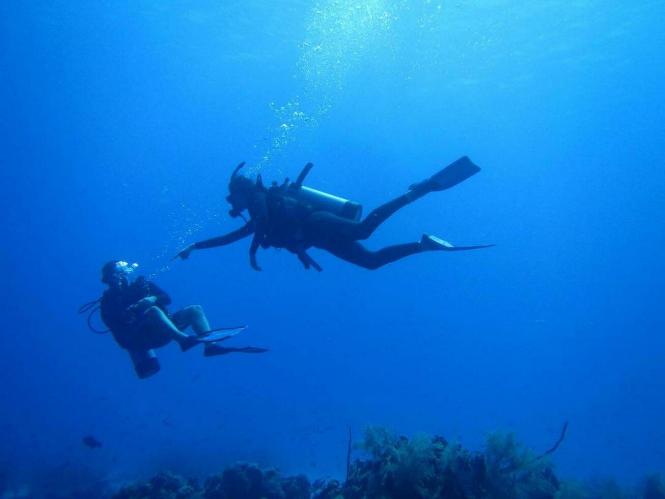 unter Wasser Erkundung zwei Menschen entdecken Marine Leben im das Ozean unter Wasser Abenteuer mit zwei Taucher, erkunden Marine Leben und genießen Wasser Sport. foto