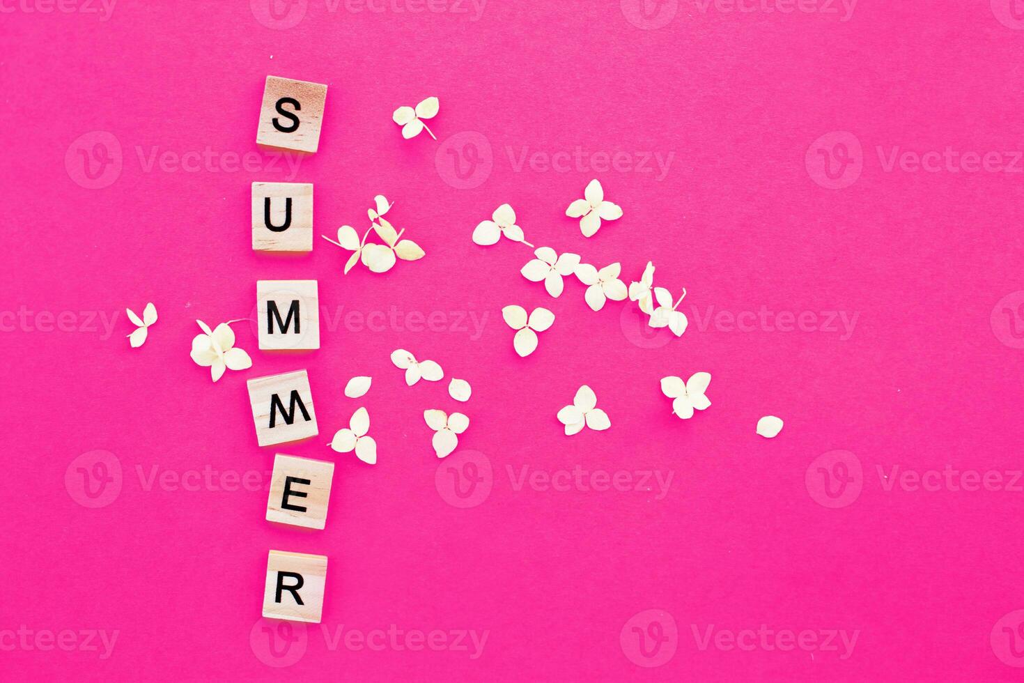 Wort Sommer- geschrieben von ein hölzern Würfel auf Rosa Hintergrund mit ein Blütenblätter von ein Hortensie Blumen foto