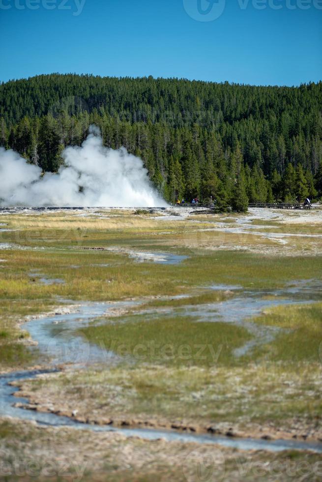 Ausbruch des alten treuen Geysirs im Yellowstone-Nationalpark foto