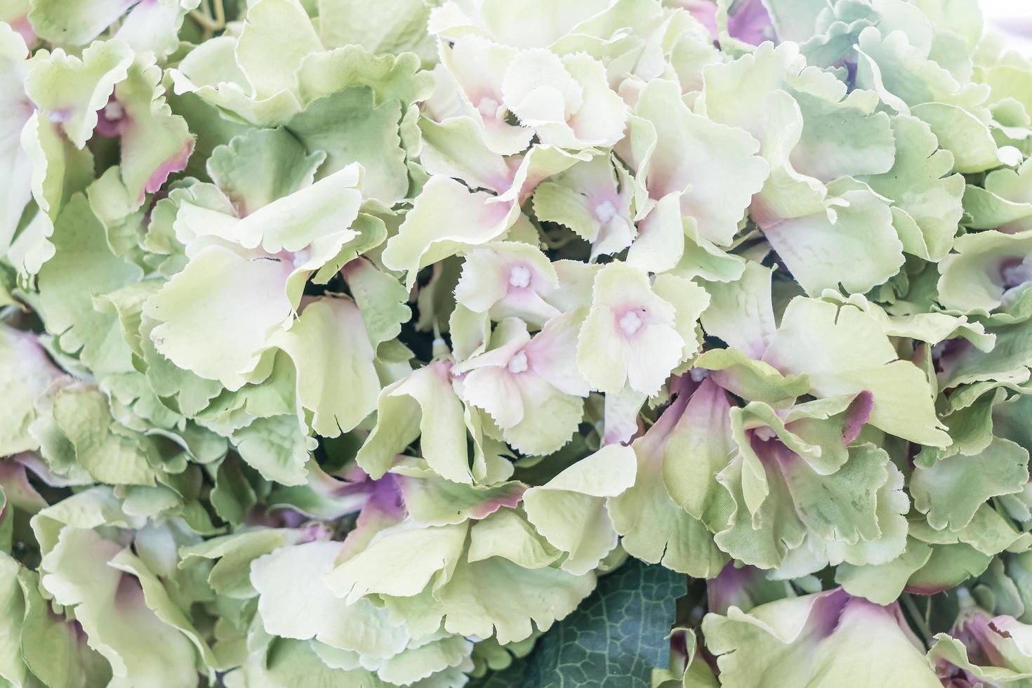 schöner Blumenstrauß für den Hintergrund foto