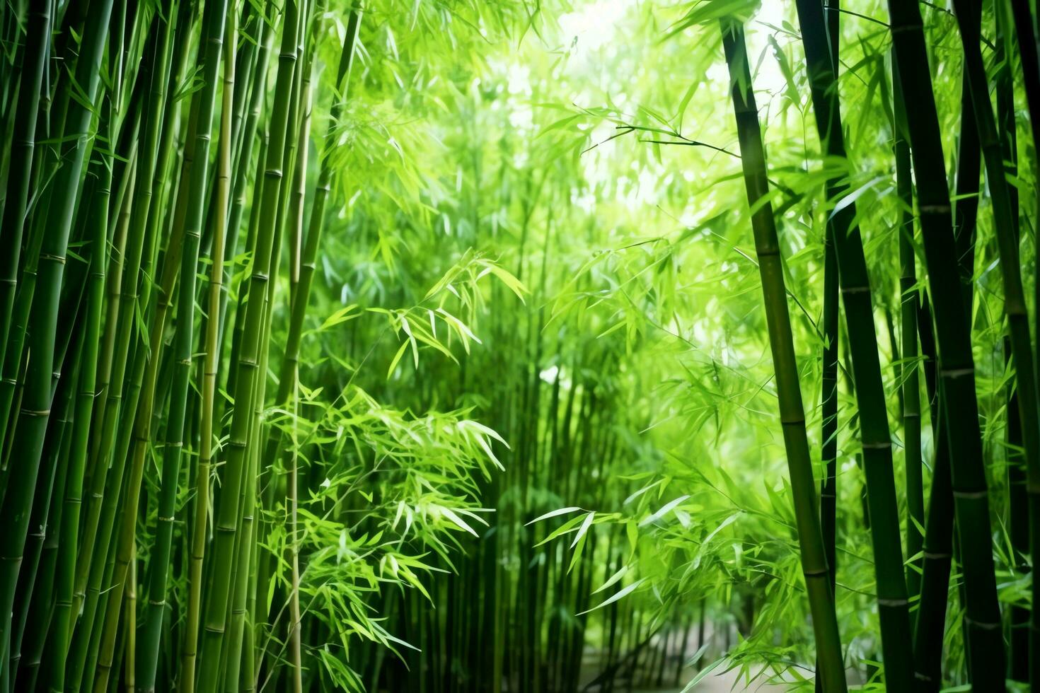 Aussicht von botanisch Grün Bambus tropisch Wald im Tageslicht. orientalisch Bambus Hain im China japanisch Konzept durch ai generiert foto