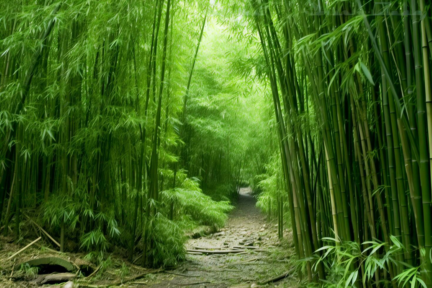 Aussicht von botanisch Grün Bambus tropisch Wald im Tageslicht. orientalisch Bambus Hain im China japanisch Konzept durch ai generiert foto