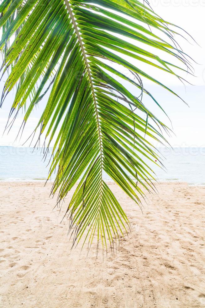 Palmen und tropischer Strand von Pattaya in Thailand foto