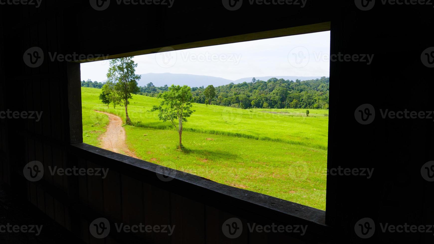 Aussichtspunkt der Wiese mit Blick auf die Fenster der Hütte. foto