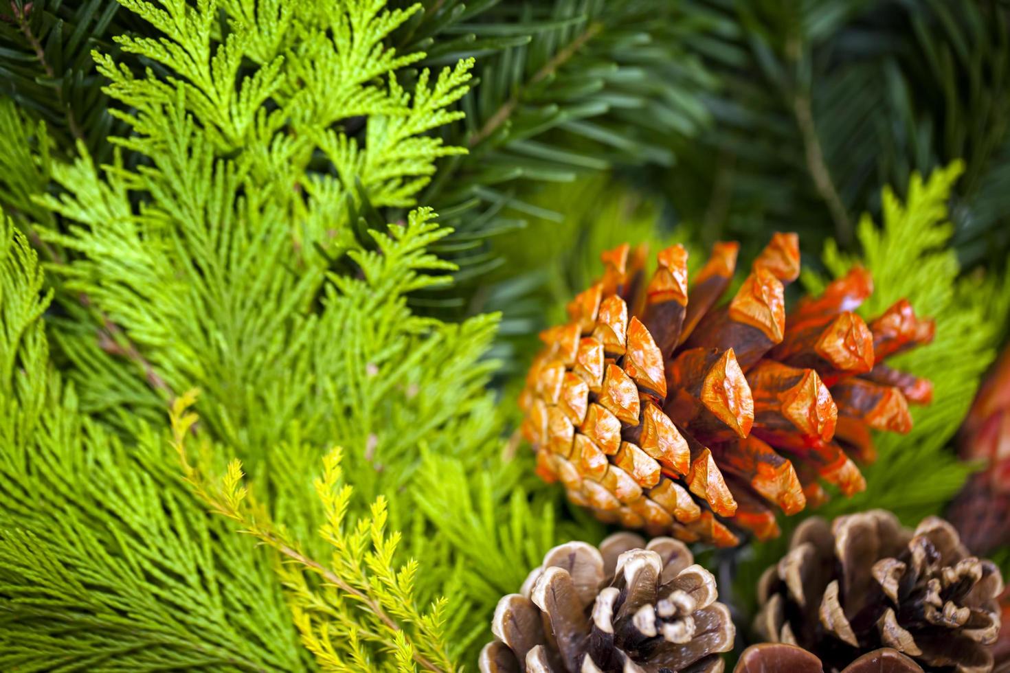 Weihnachten Neujahr buntes Dekorationskonzept foto