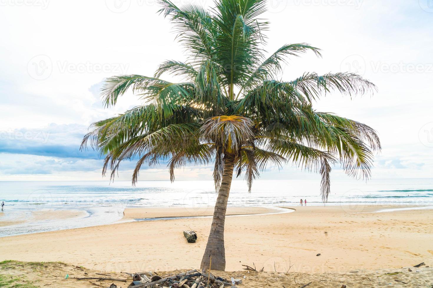 Kokospalme mit tropischem Strand foto