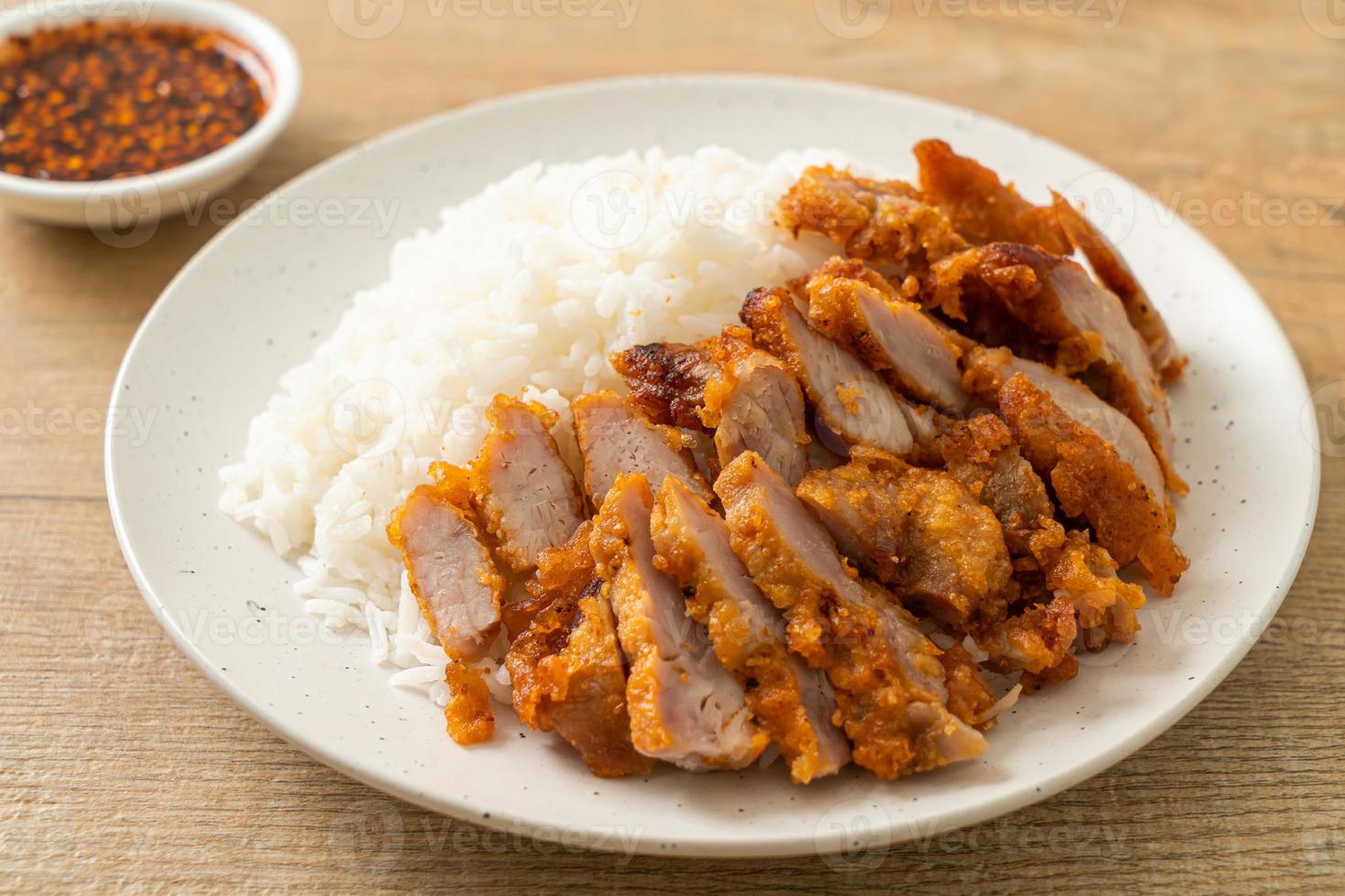 gebratenes Schweinefleisch auf Reis mit pikanter Dipsauce foto