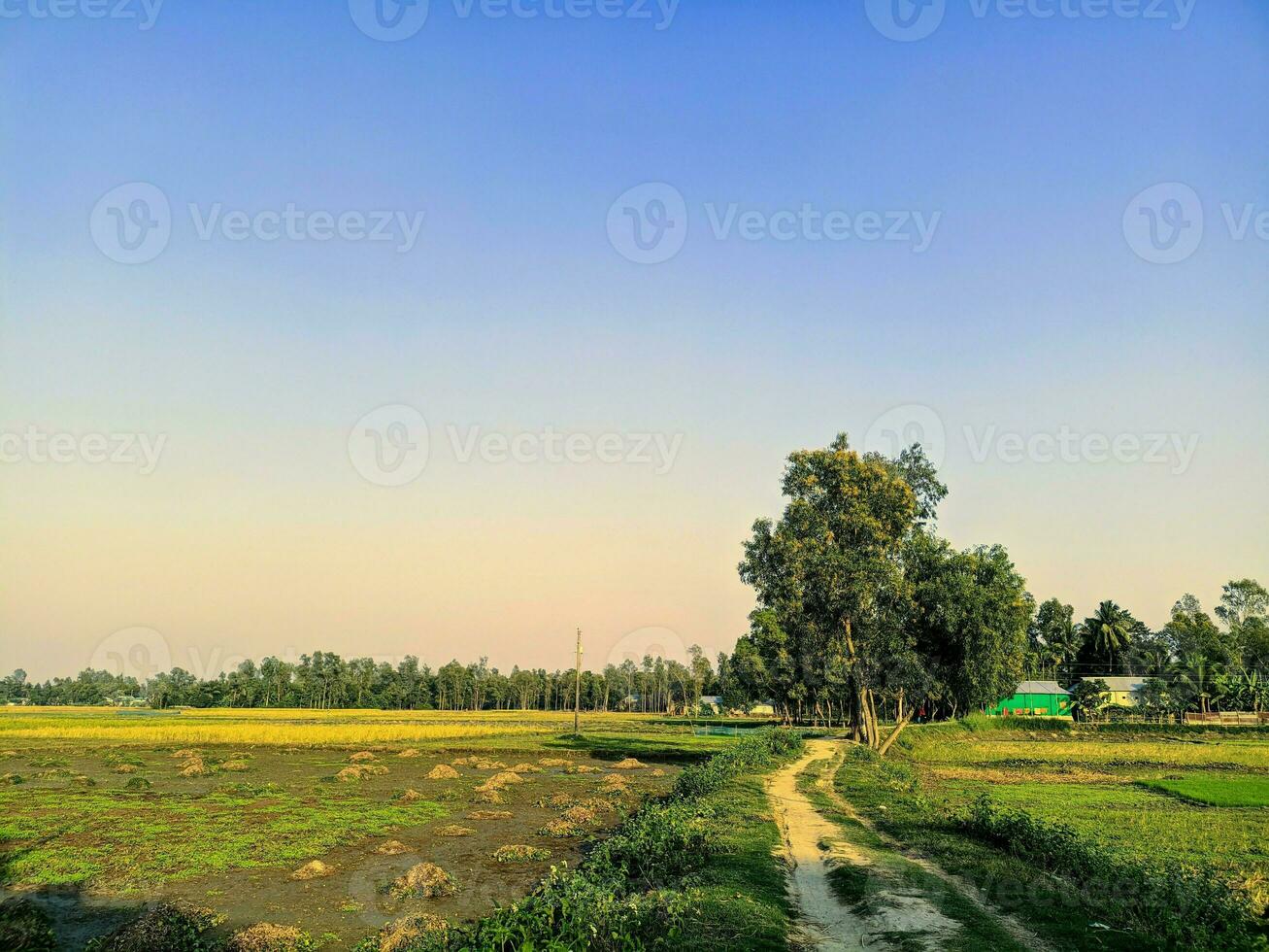 fesselnd Landschaften, Himmel, und Bäume im Bangladesch natürlich Schönheit foto