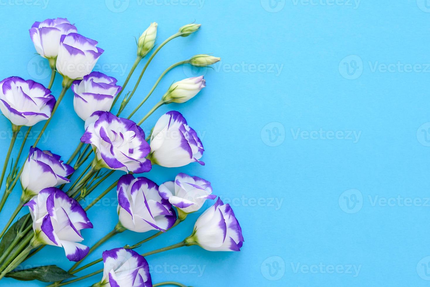 ein Strauß wunderschöner frisch geschnittener lila Eustoma foto
