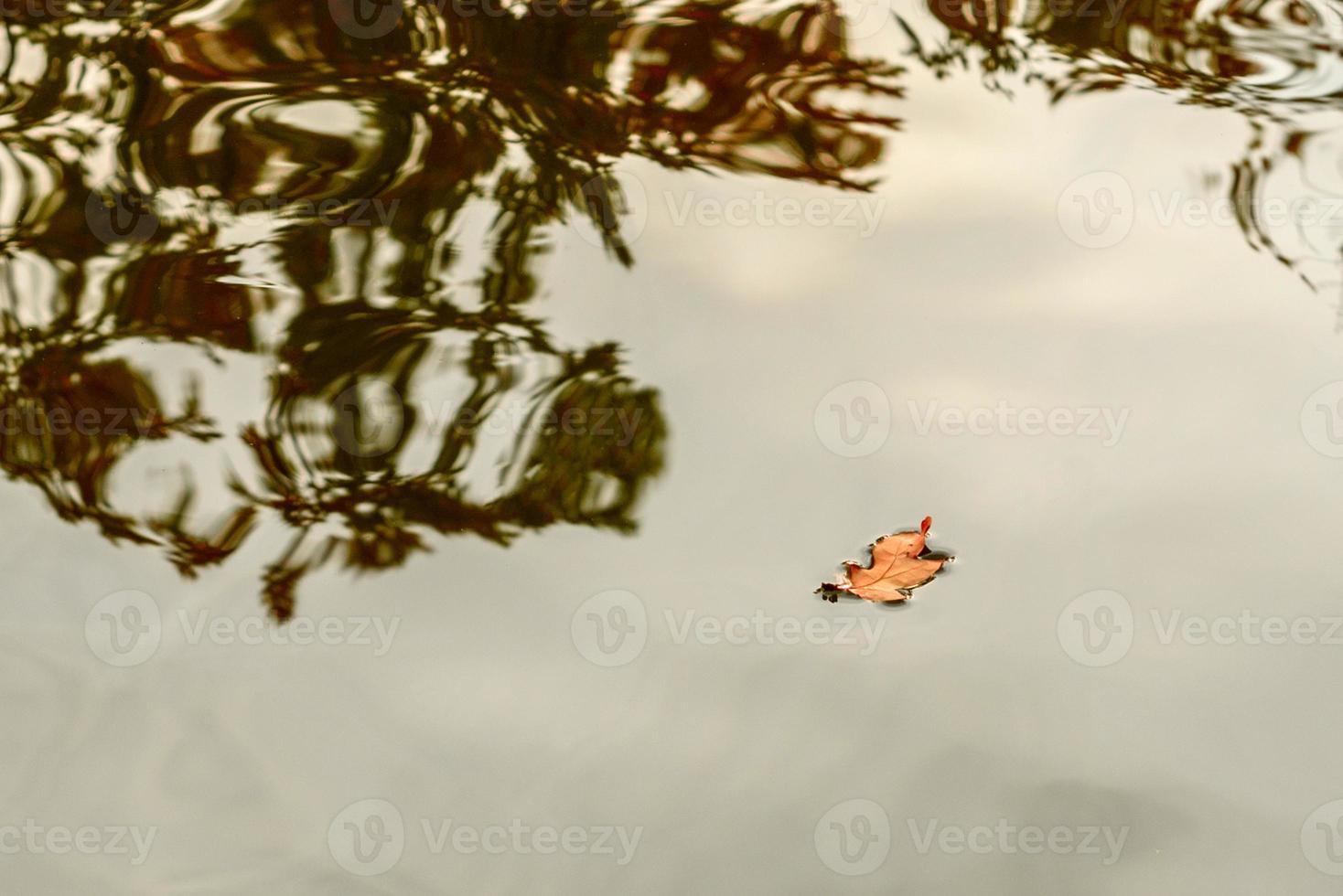 ein kleines orangefarbenes Blatt, das von einem Baum auf eine flache Wasserlinie fiel foto