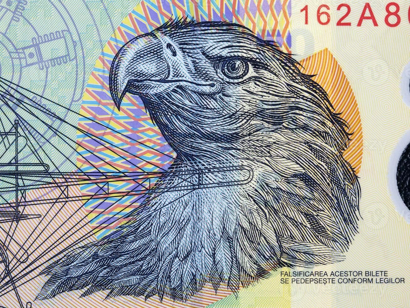 Adler Kopf von rumänisch Geld foto