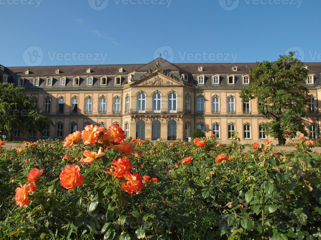 neues schloss neues schloss, stuttgart foto