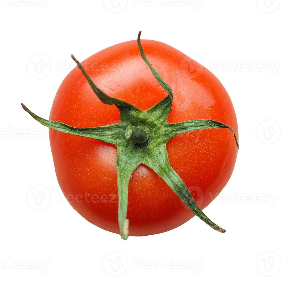 rote Tomate isoliert über weiß foto