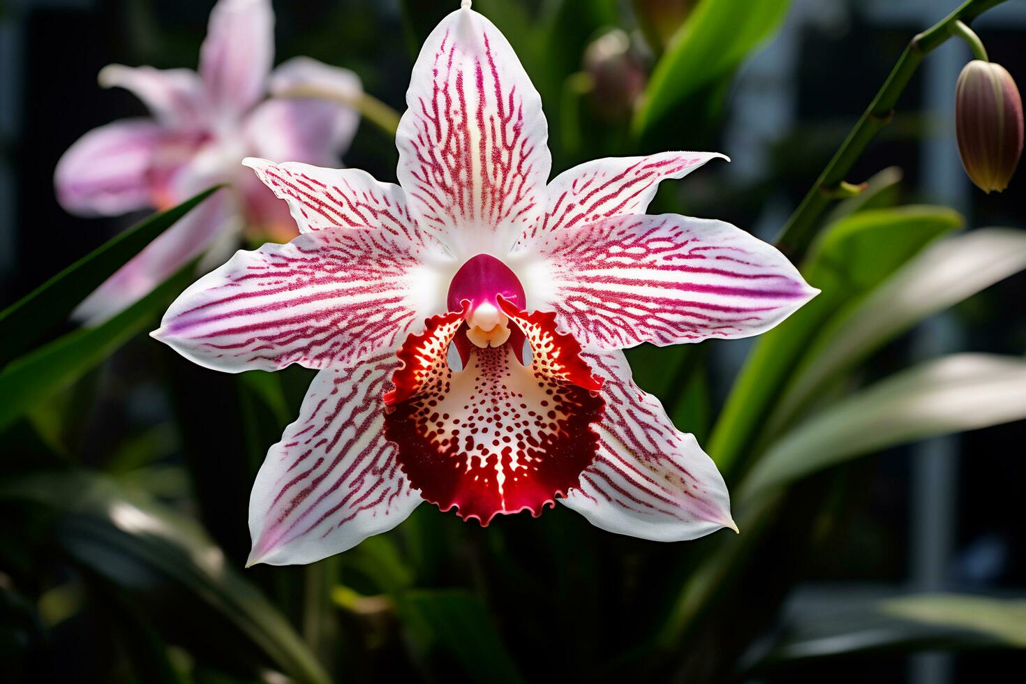 ai generativ Foto von Orchidee Blume im ein transzendent botanisch Garten