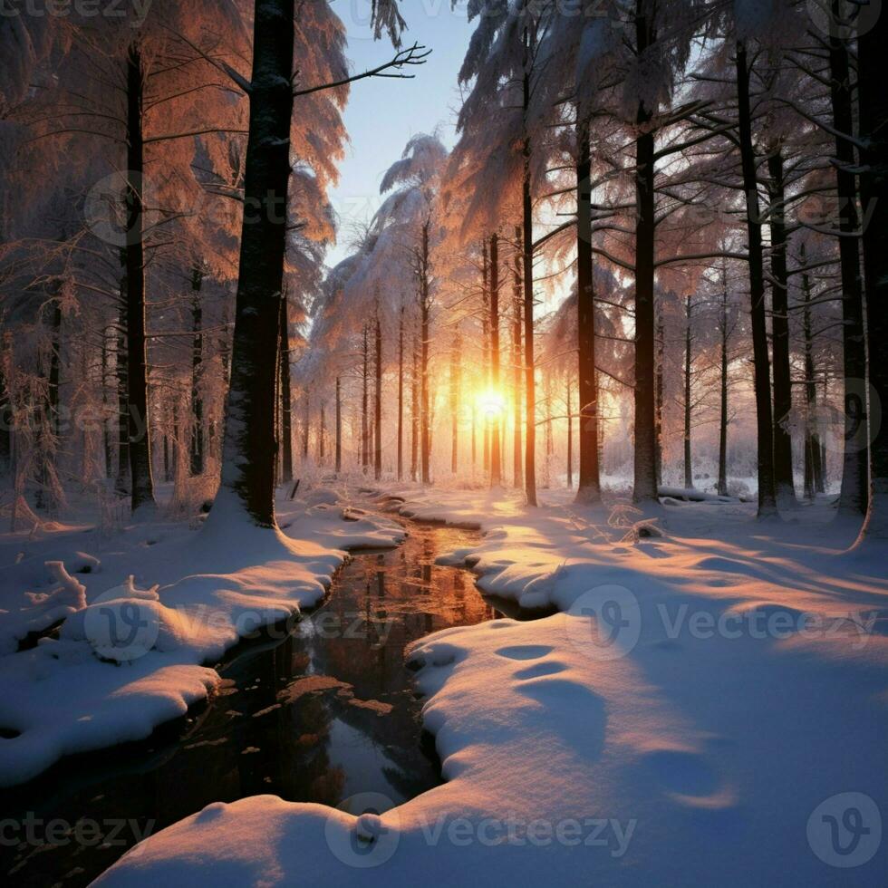 Winter Dämmerung im das Wald, das Sonnen warm Winter Abschied ai generiert foto