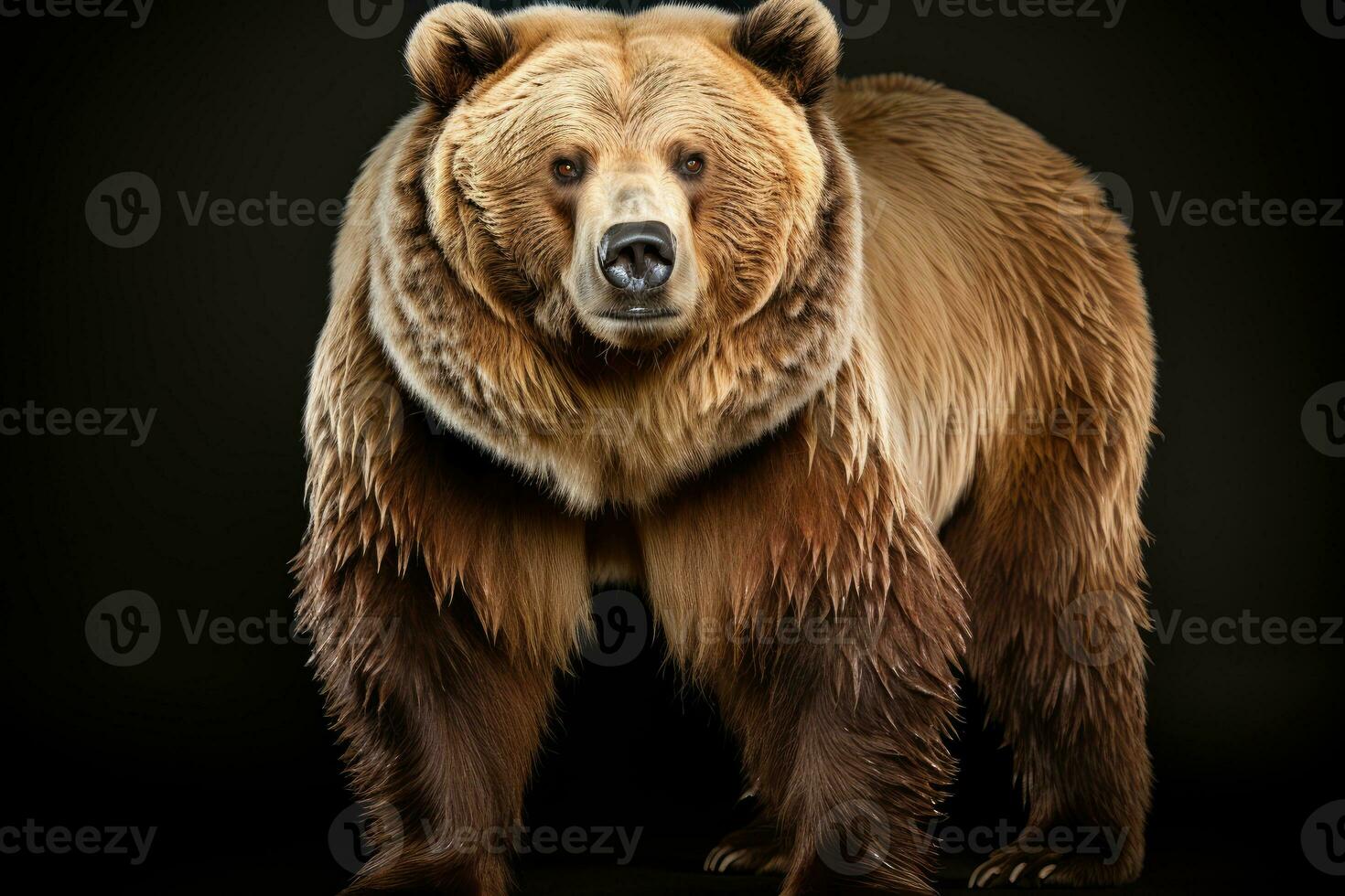 wild Bär gefährlich Tier oder Säugetiere Fachmann Werbung Fotografie ai generiert foto