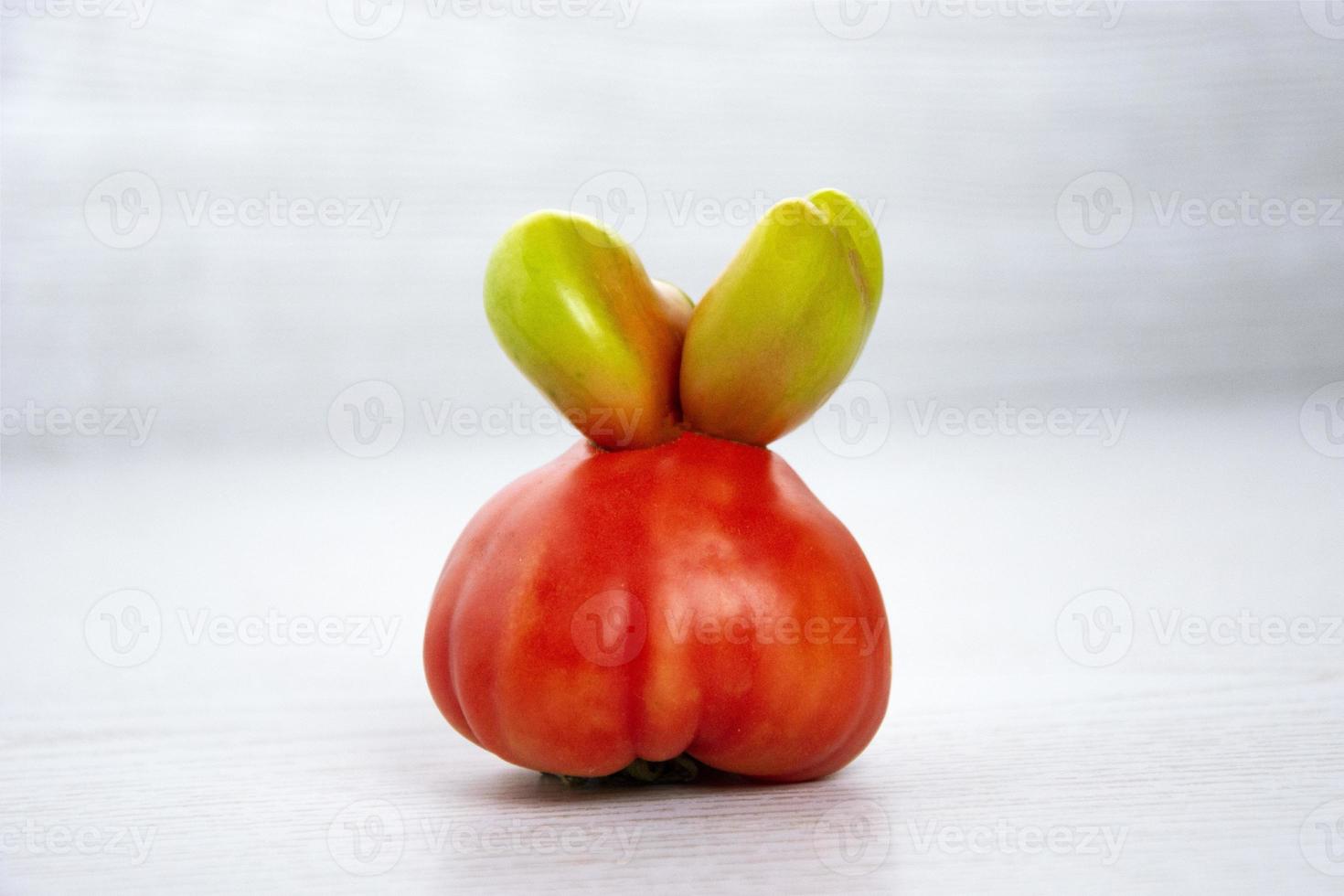 reife lustige Tomate mit Hasenohren foto