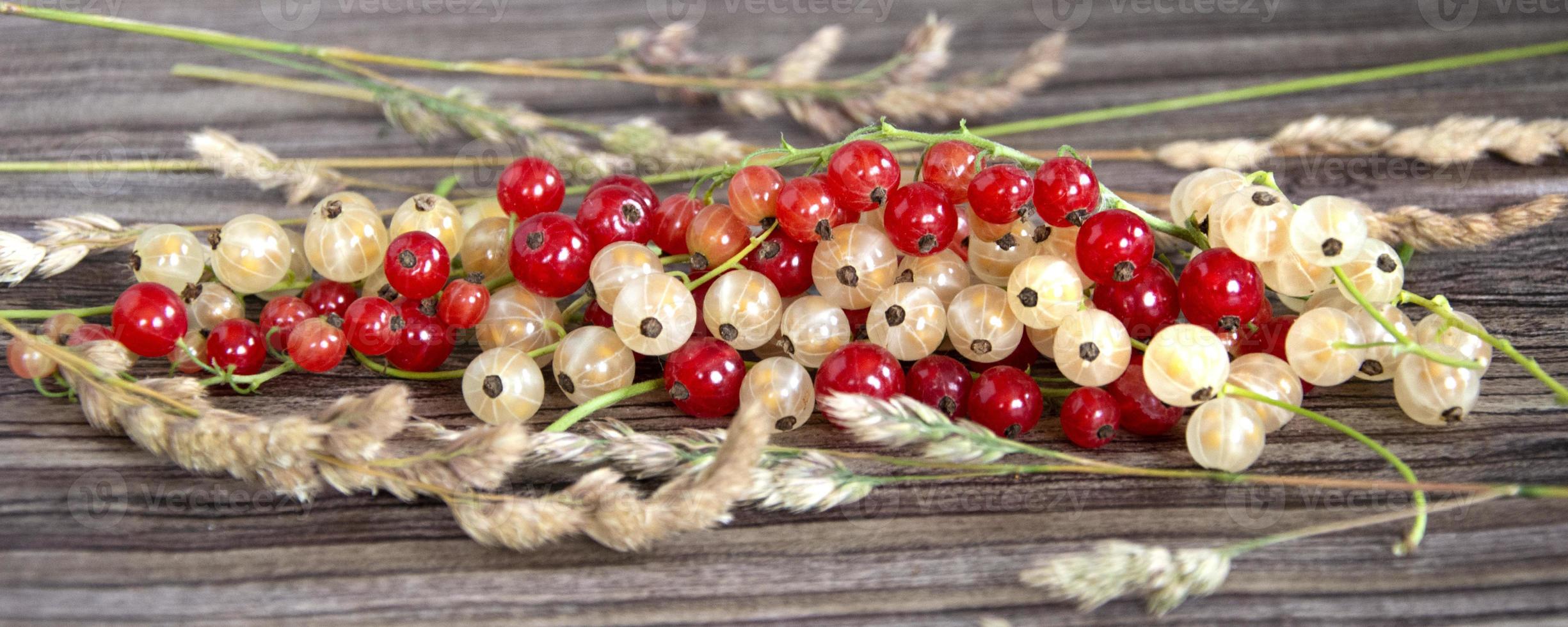 Beeren- und Johannisbeeren-Banner-Hintergrund foto