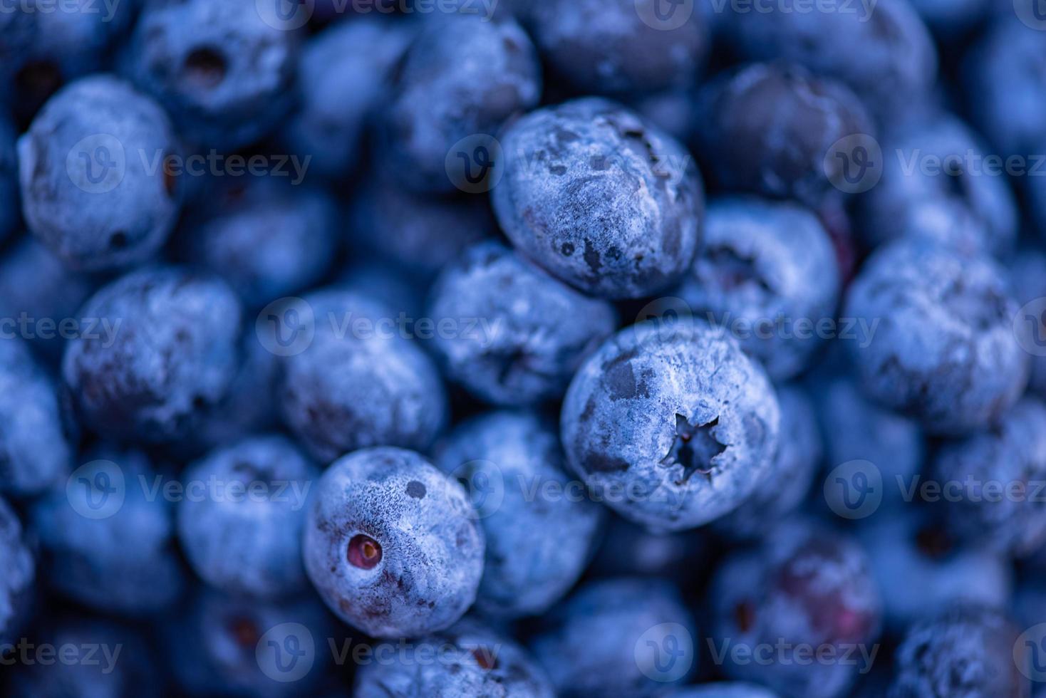 frische Heidelbeeren. Nahaufnahme Hintergrund. Weicher Fokus. flacher dof. foto