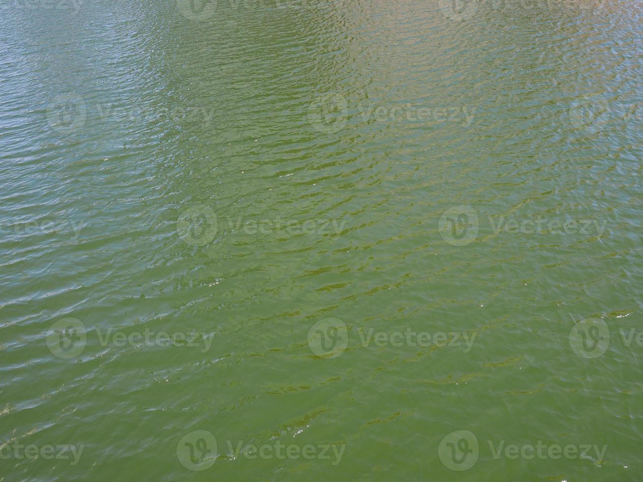 grüner wasserhintergrund foto