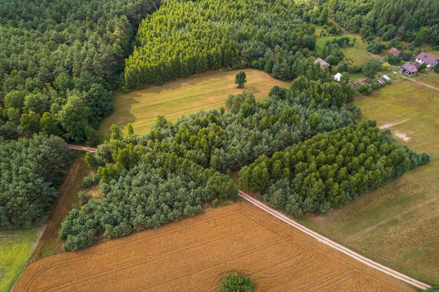 Luftaufnahme von Feldern auf der polnischen Landschaft im Sommer foto