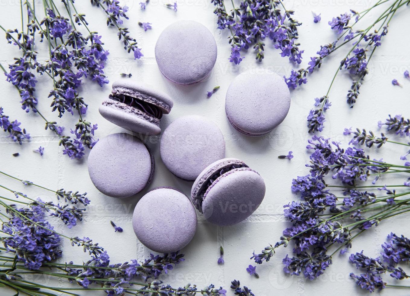 französische Macarons mit Lavendelgeschmack und frischen Lavendelblüten foto