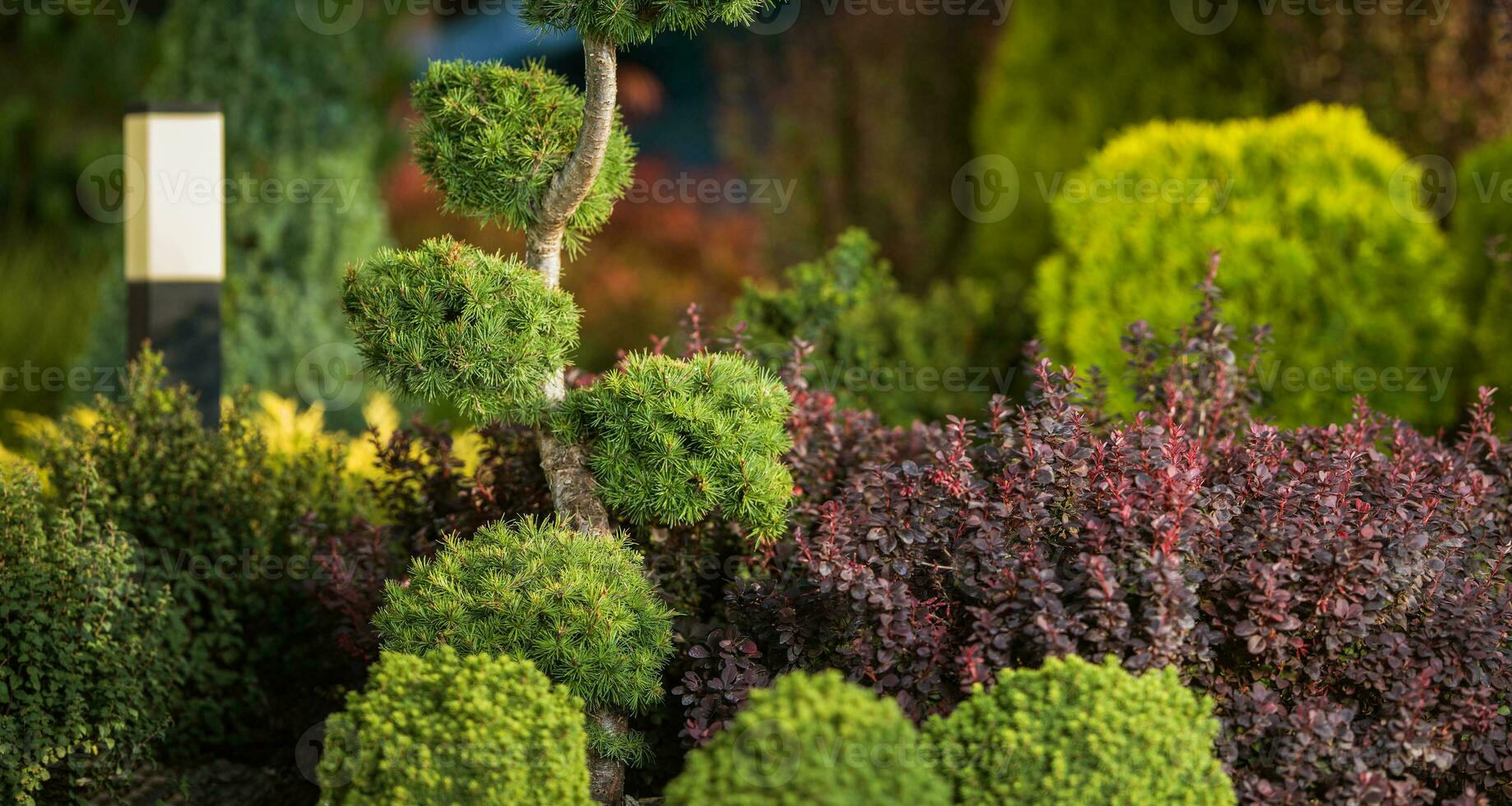 exotisch Hinterhof Garten voll von dekorativ Bäume foto