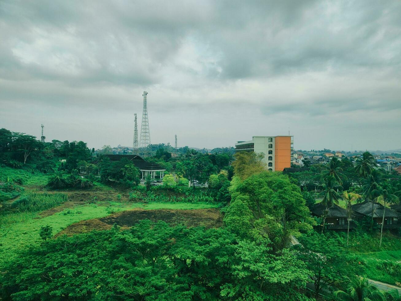 Aussicht von Grün Wald im das Mitte von das Stadt im samarinda foto