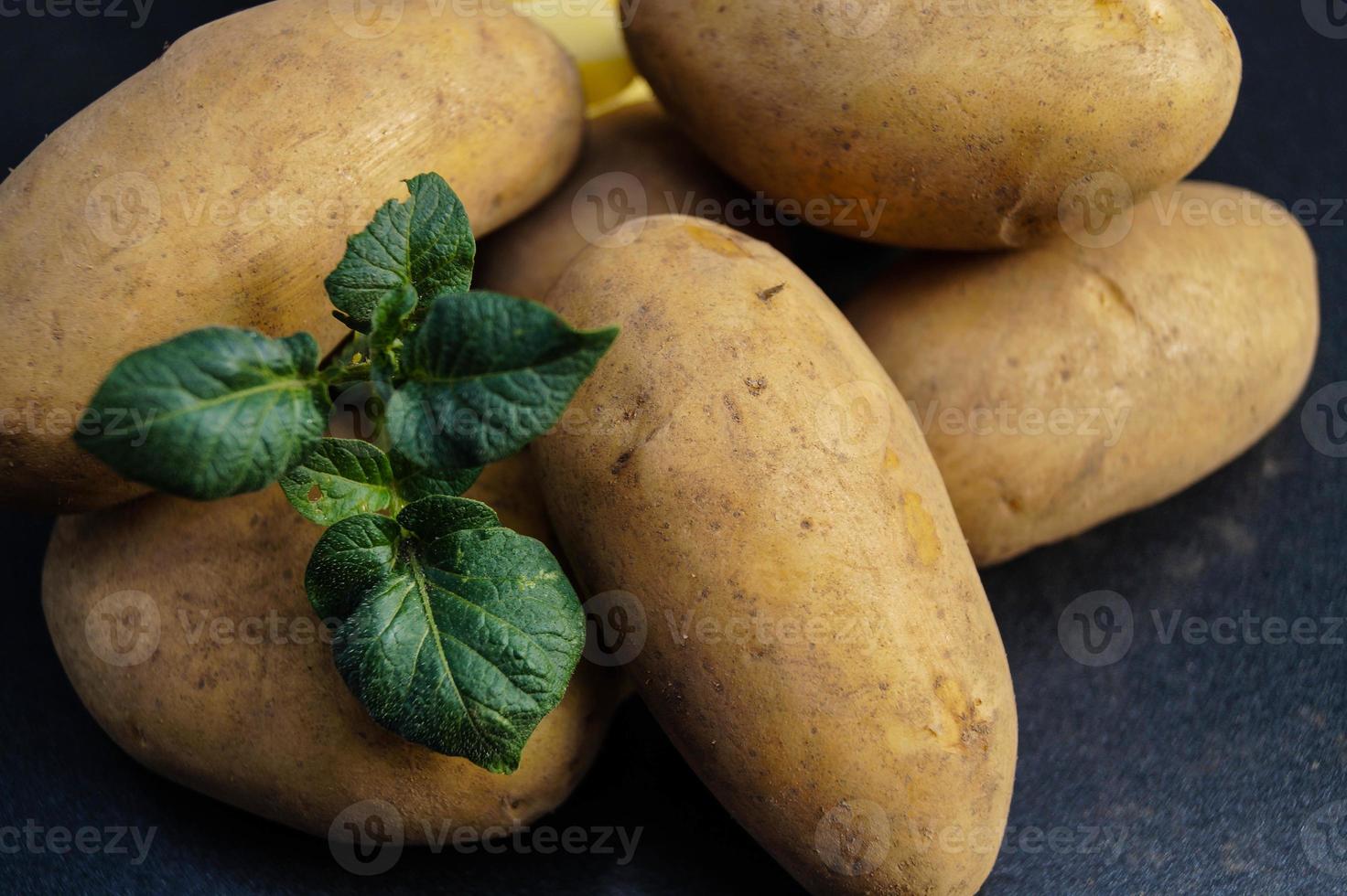 deutsche Kartoffeln direkt nach der Ernte foto