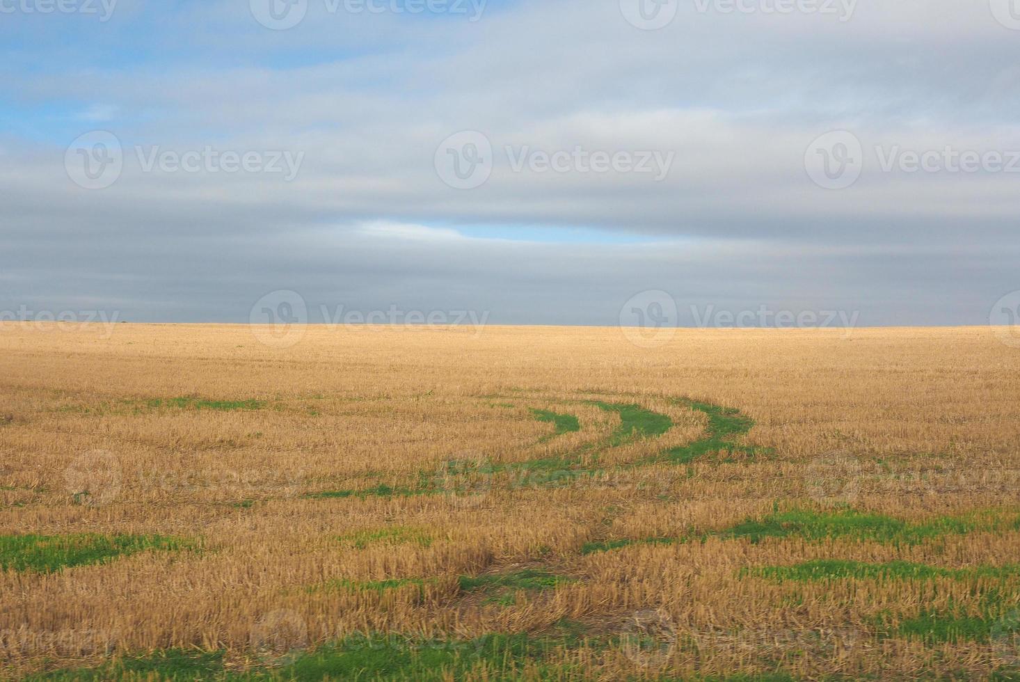 englisches landpanorama in salisbury foto