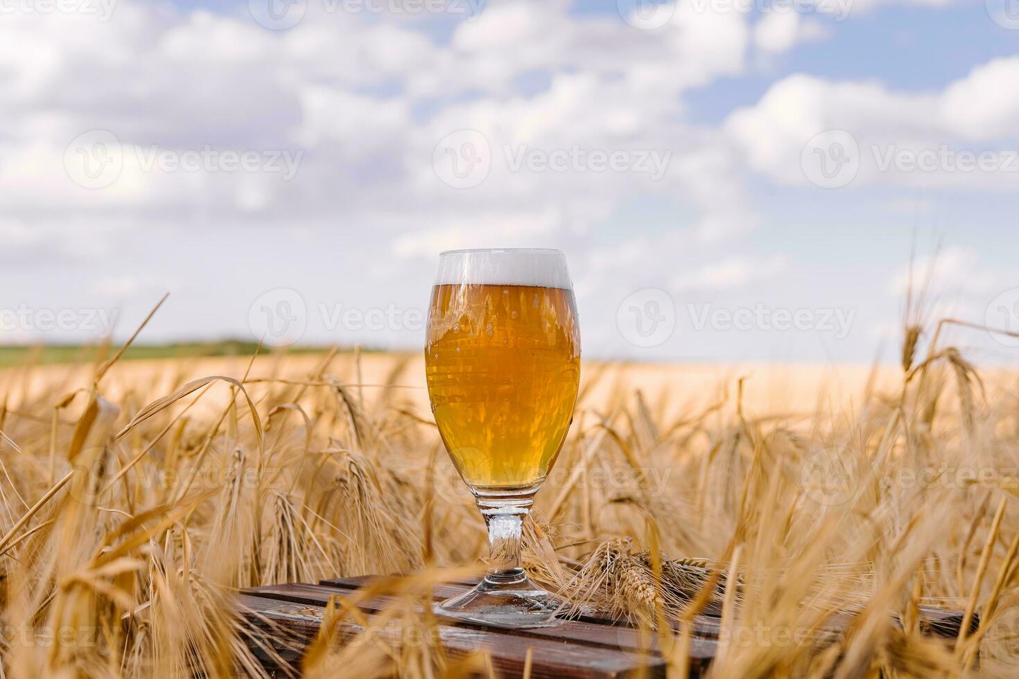 ein Glas von Bier im ein Weizen Feld foto