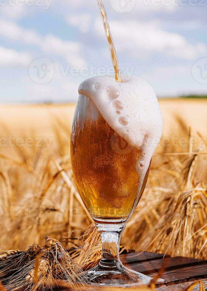 Glas von Bier gegen Weizen Feld foto