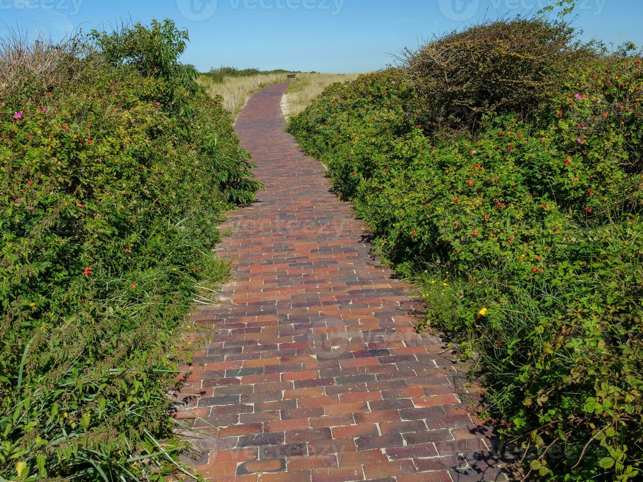 das Deutsche Insel von Langeoog foto