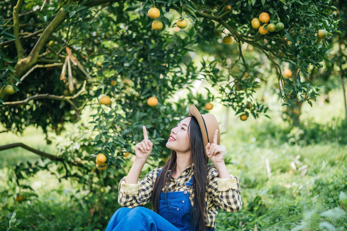 Frau, die eine Orangenplantage erntet foto