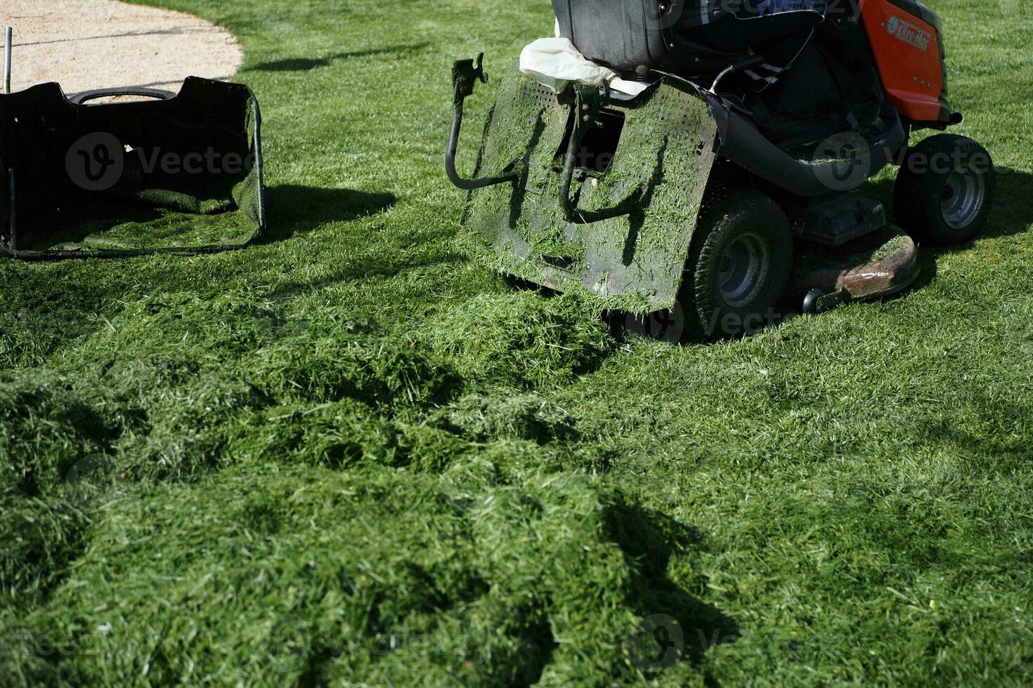 Rasen Mäher auf Gras im Garten, foto