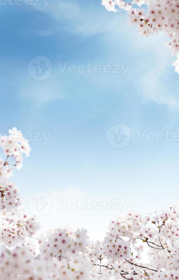 schöner Frühlingsblumenhintergrund, Jahreszeitthema, hallo Frühling foto