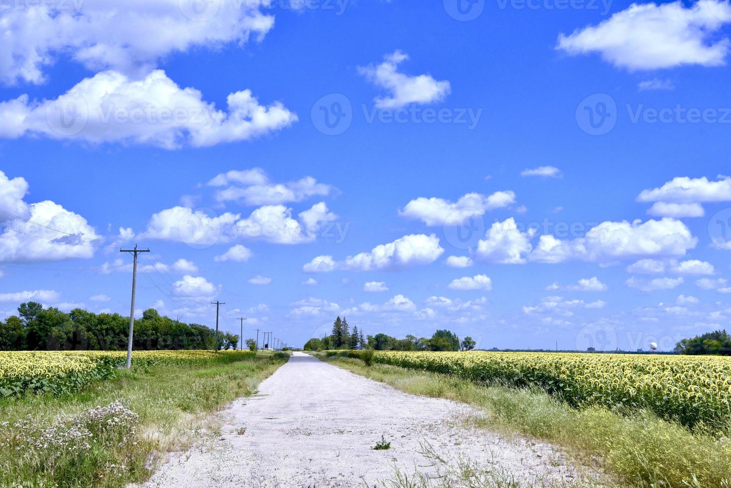 Landstraße unter blauem Himmel foto