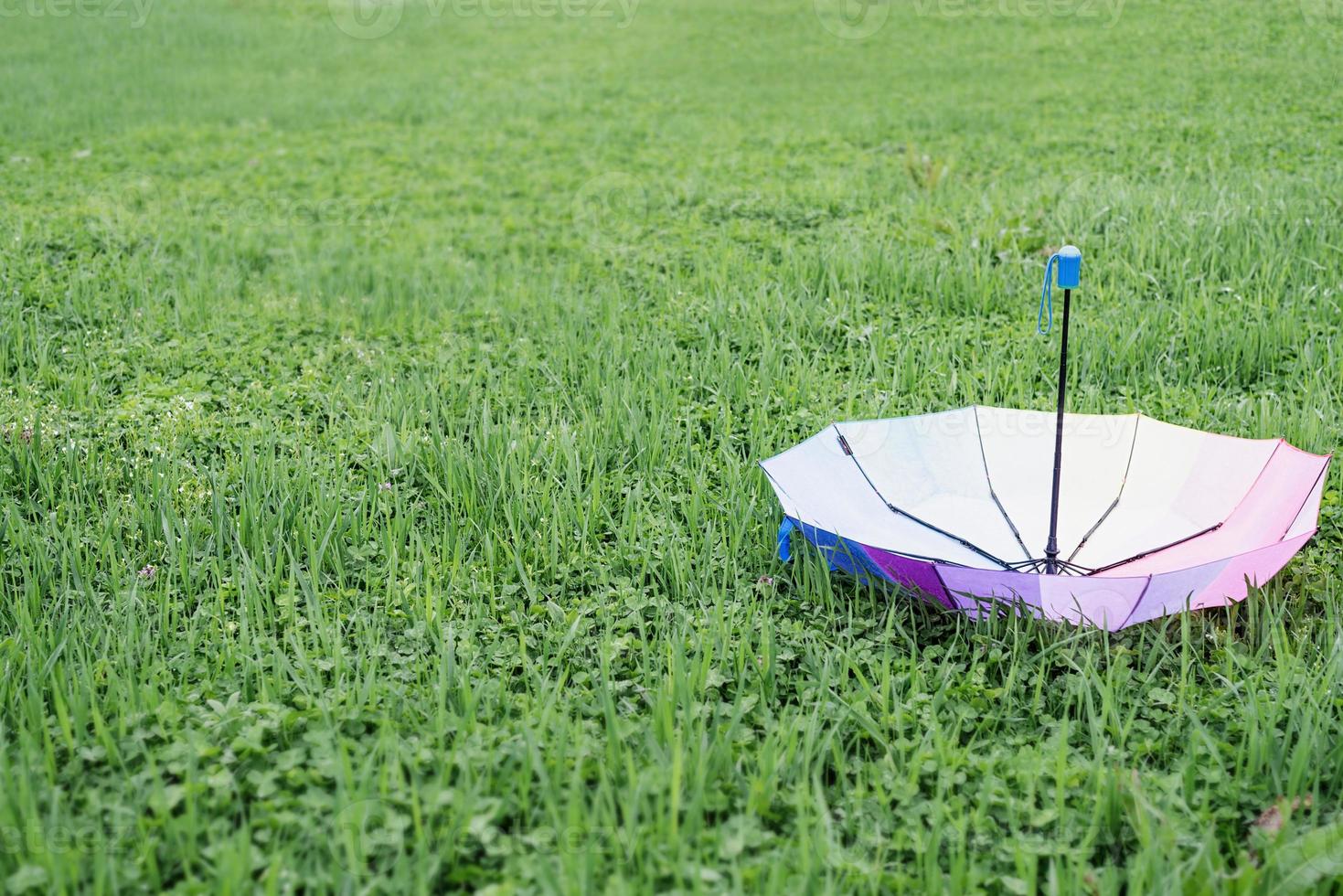 bunter Regenschirm auf dem Gras foto