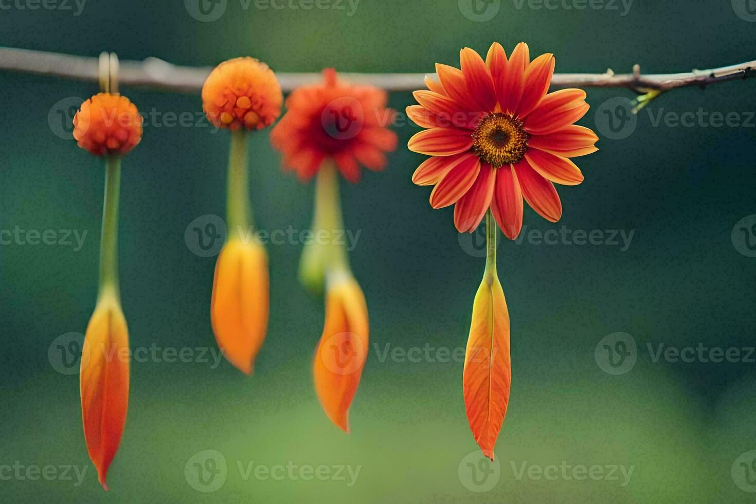 Orange Blumen hängend von ein Ast. KI-generiert foto