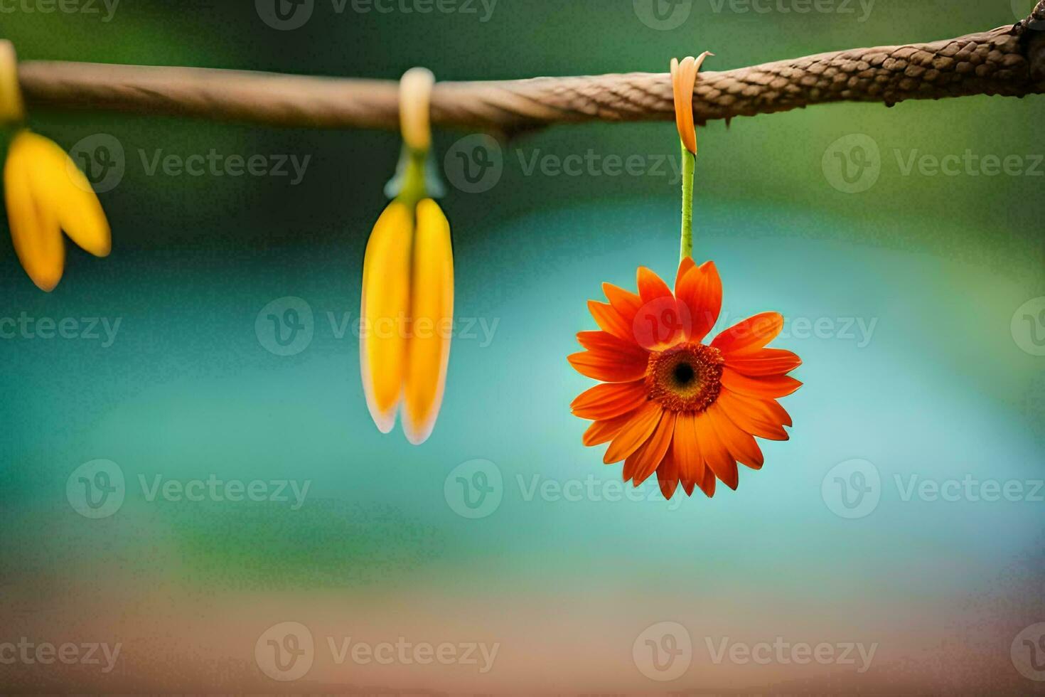 Orange Blume hängend von ein Wäscheleine. KI-generiert foto