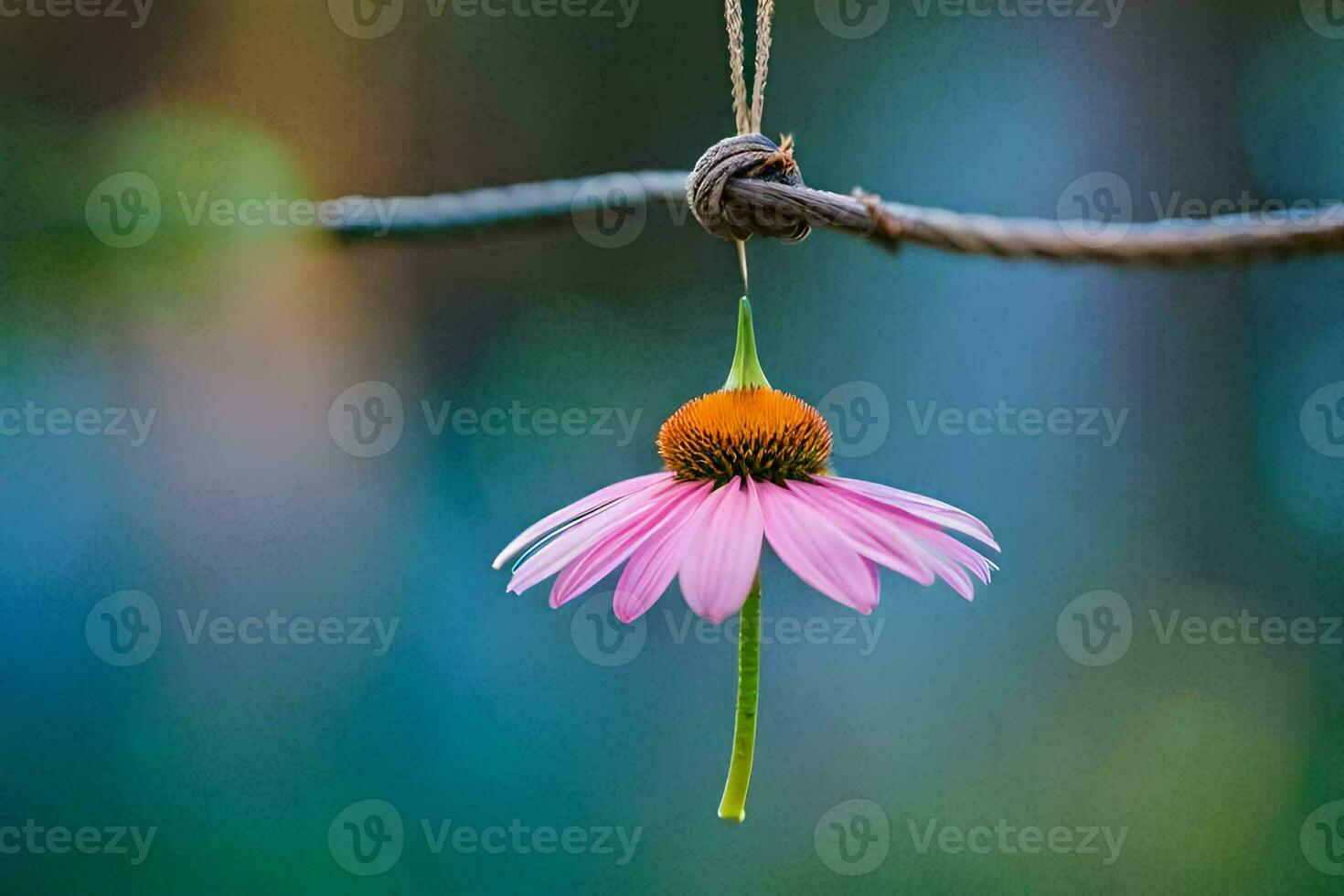 ein Rosa Blume hängend von ein Kabel. KI-generiert foto