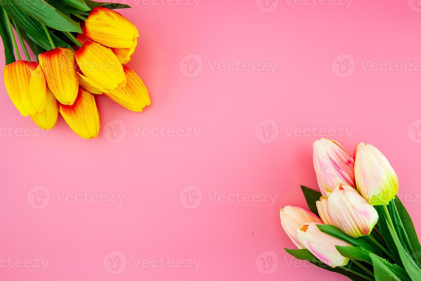 Tulpenblume mit flacher Lage auf rosafarbenem Hintergrund, Muttertag. foto
