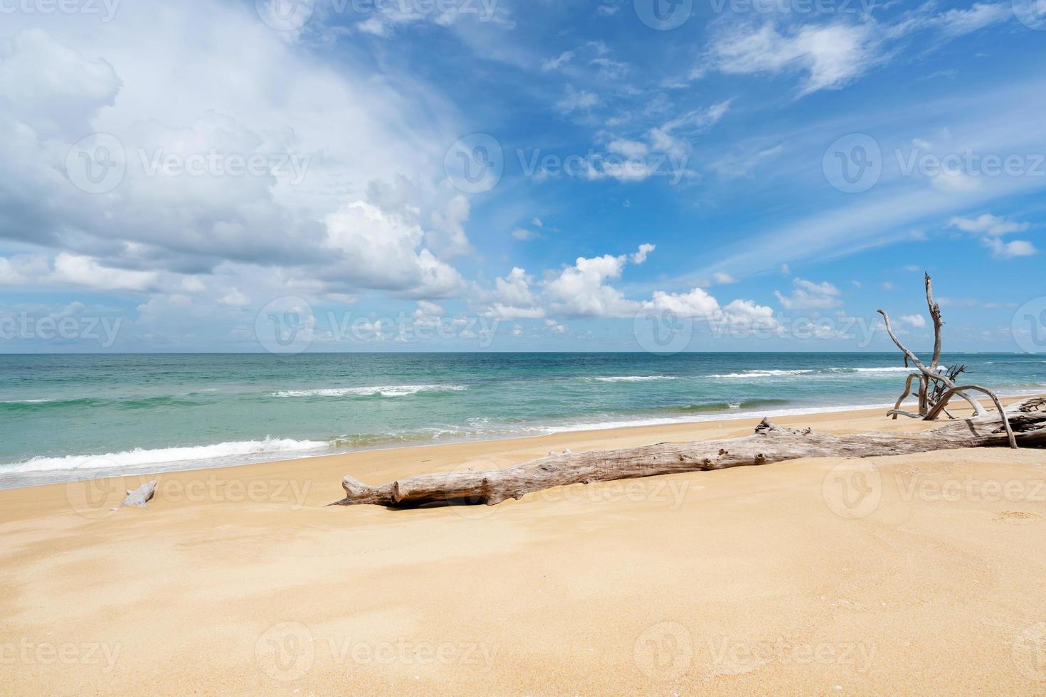 tropischer Sandstrand mit totem Baum foto