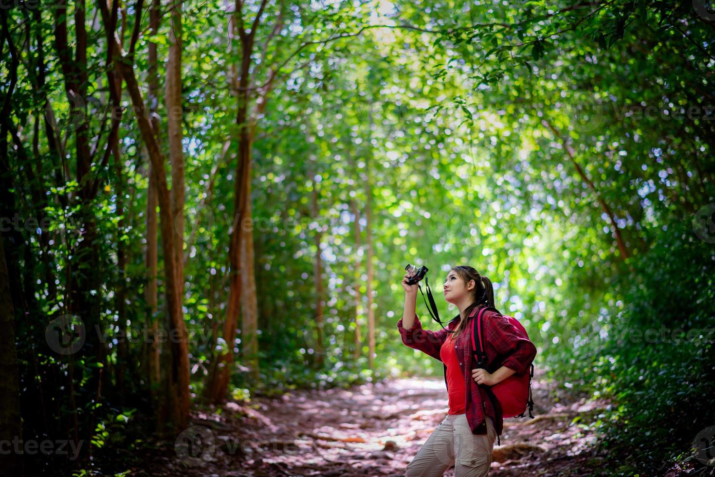 asiatischer weiblicher Hipster, der im Wald wandert foto