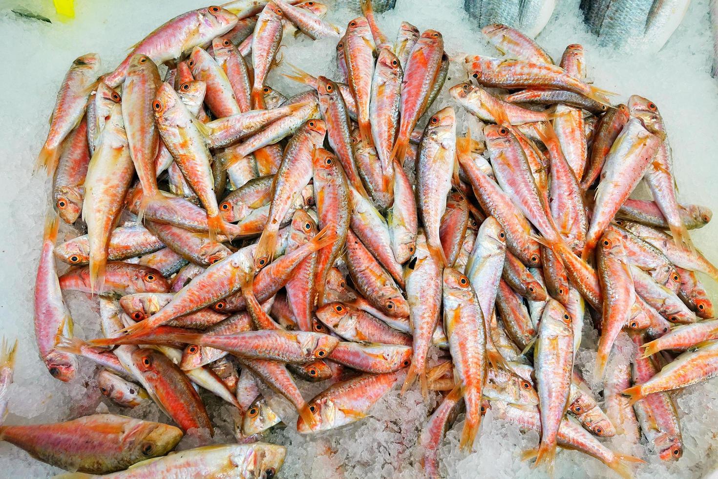 Fischfutter in einem Fischmarktstand foto